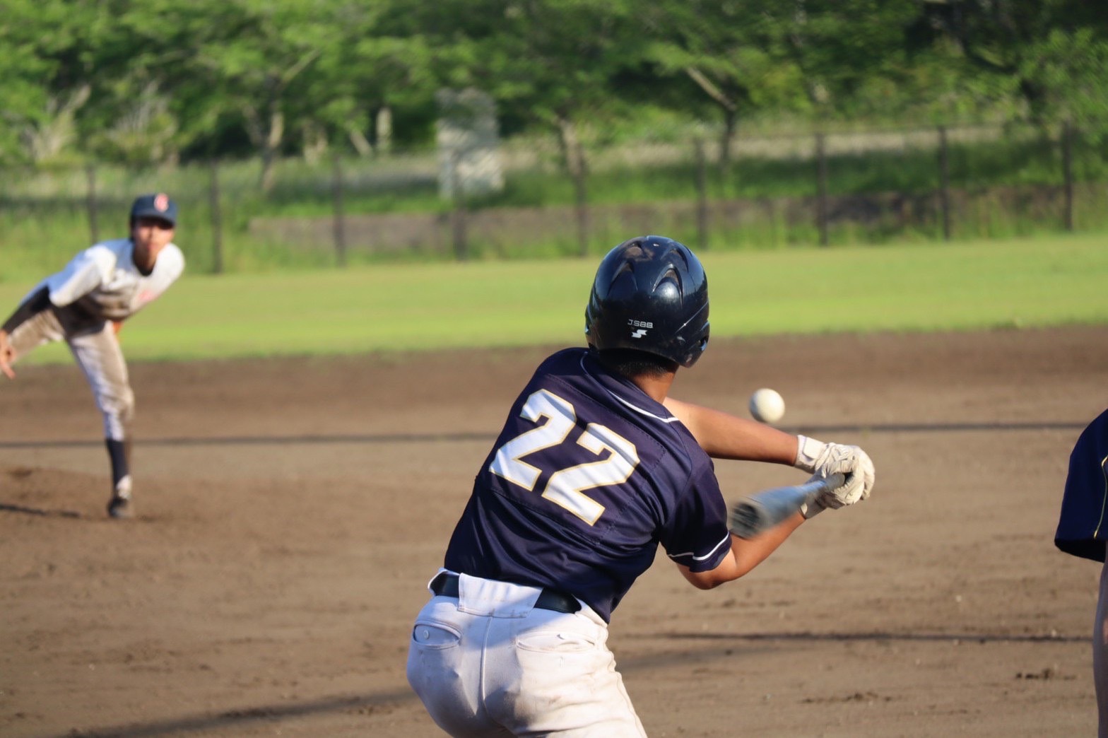 5月28日、29日　活動