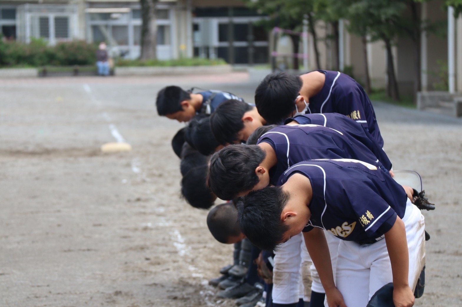 6月11日、12日、15日　活動