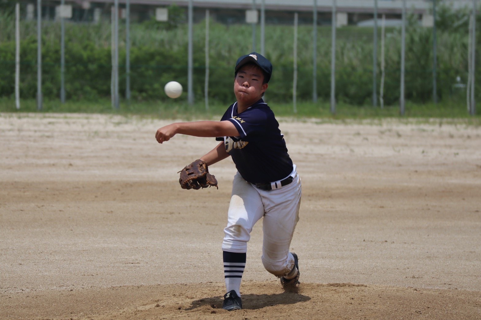 ６月18日、19日、22日　活動