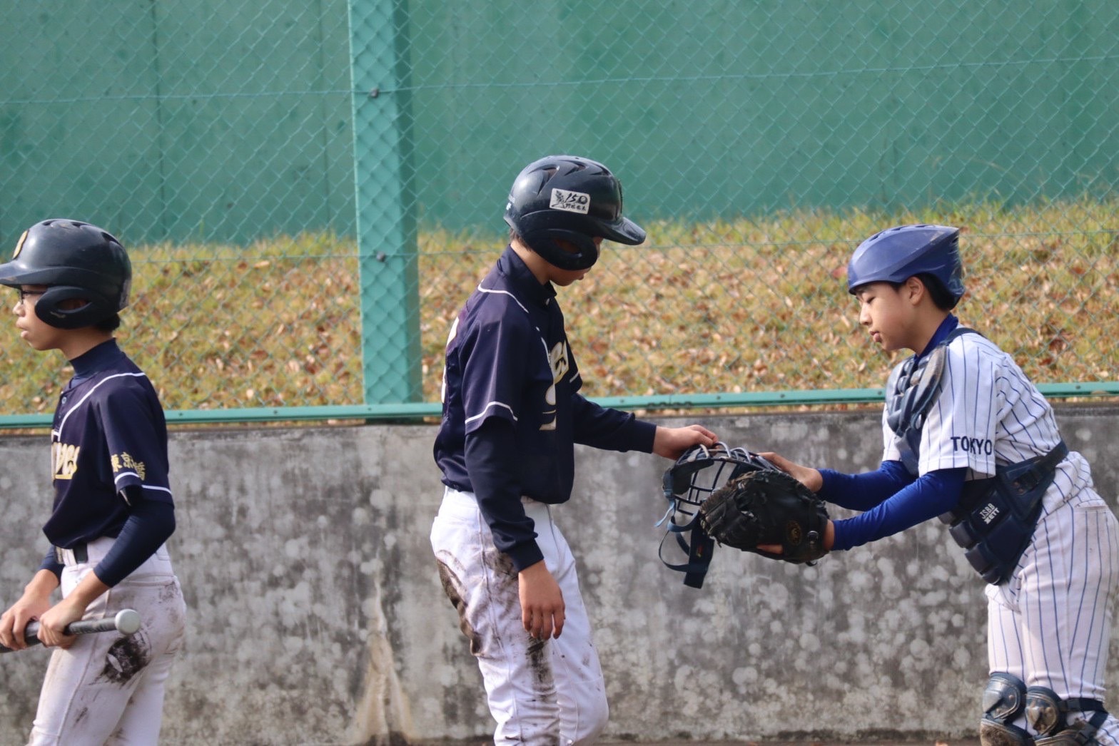 11月23日、26日、27日　活動