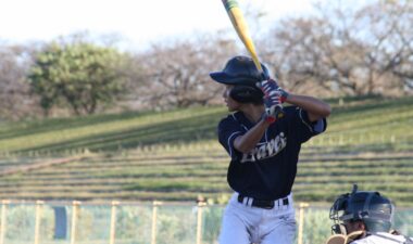 11月22日、23日、24日　活動報告と次週の予定