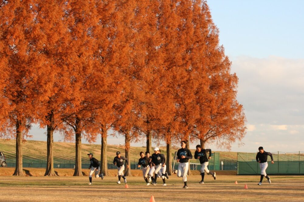 12月6日、7日活動報告と次週の予定