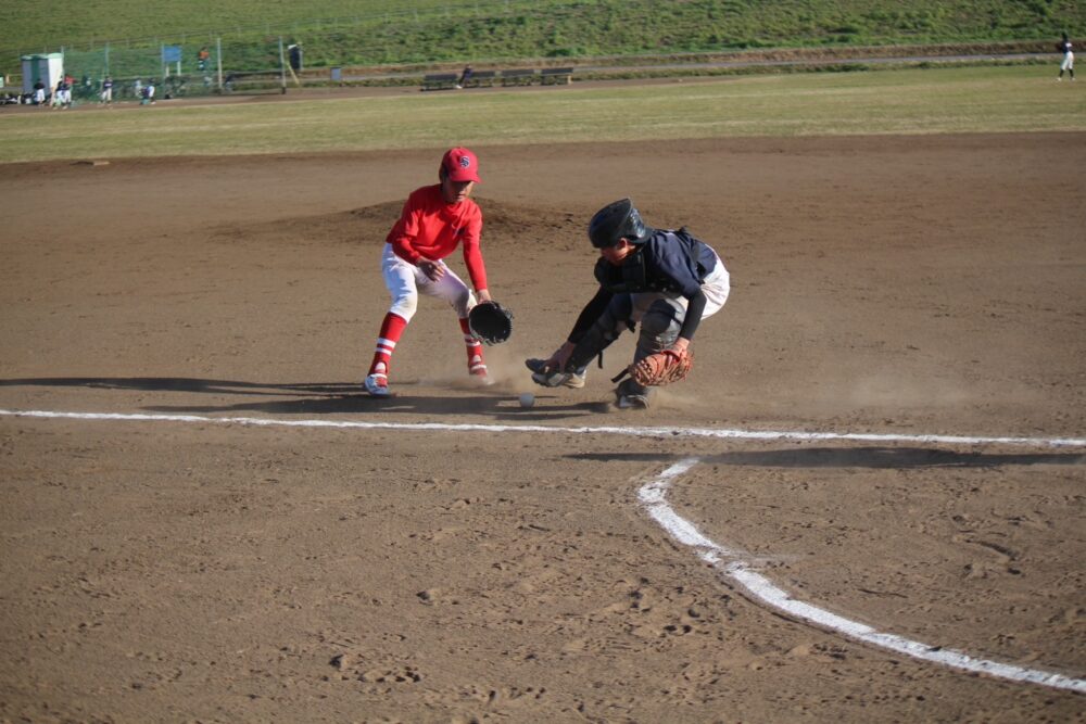 3月14日、15日　活動と次回の予定